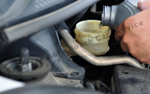 Oil & Filter